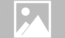 僵尸漫画全集,末世求生记